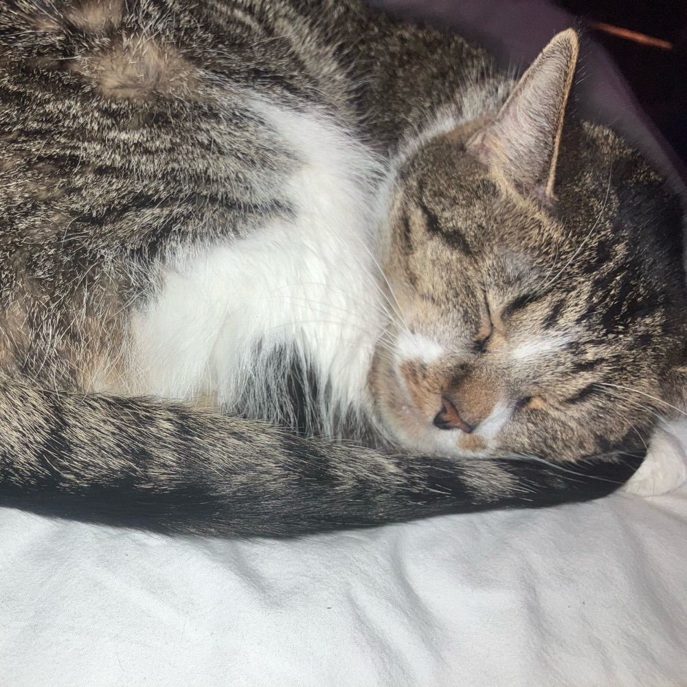 Sleepy