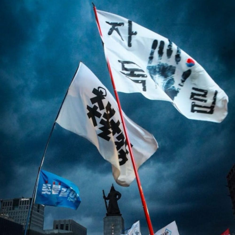 민주주의 회복