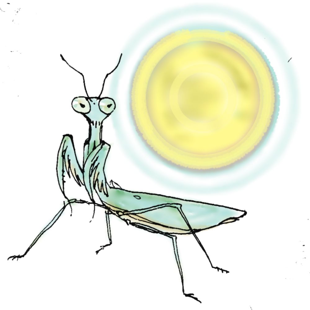 ｶﾏｷﾘ(🦋)