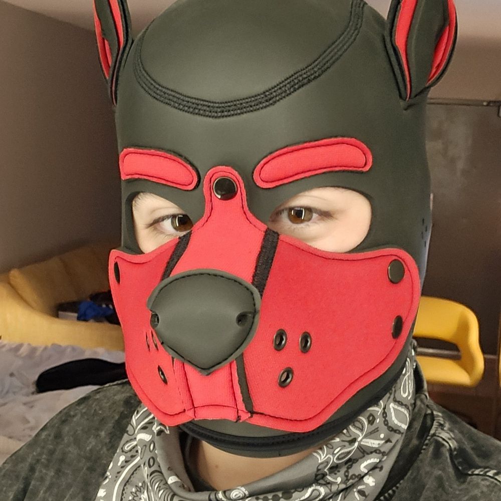 Pup Dun