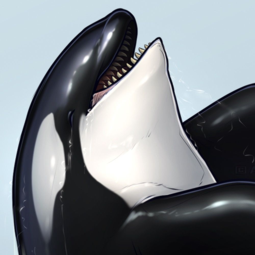 Mystic Orca's avatar