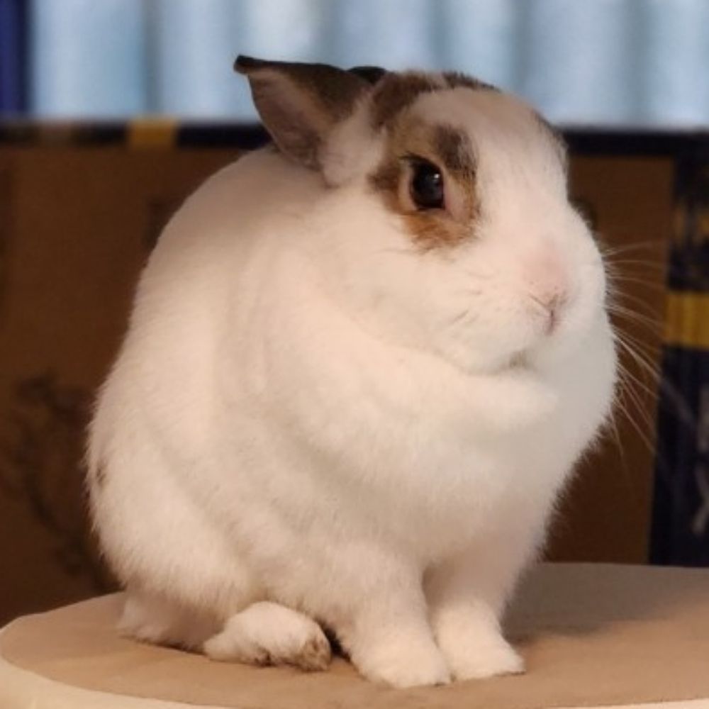 とる