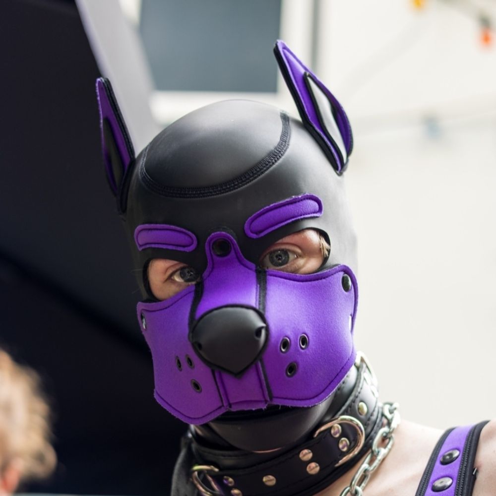 Pup Chaos