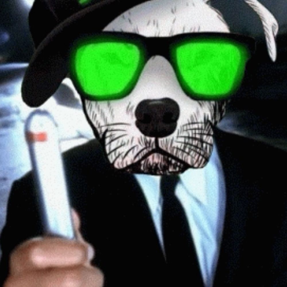 Laserbrille 💚's avatar