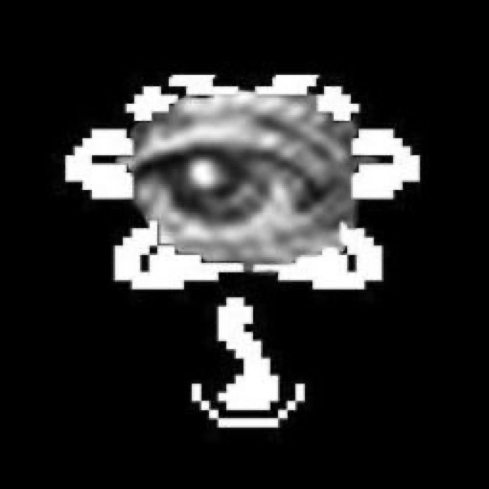 Zeika