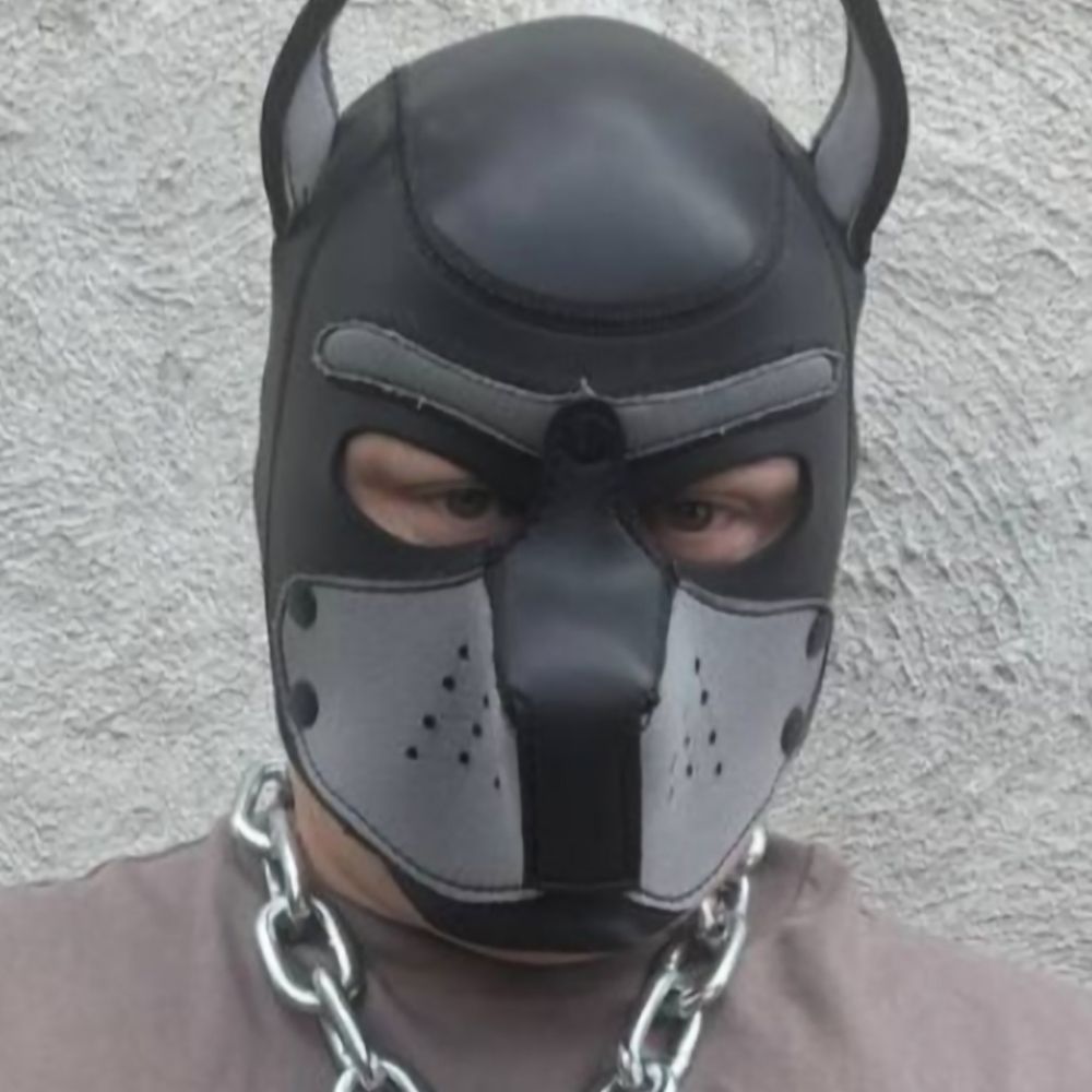 Pup Nova