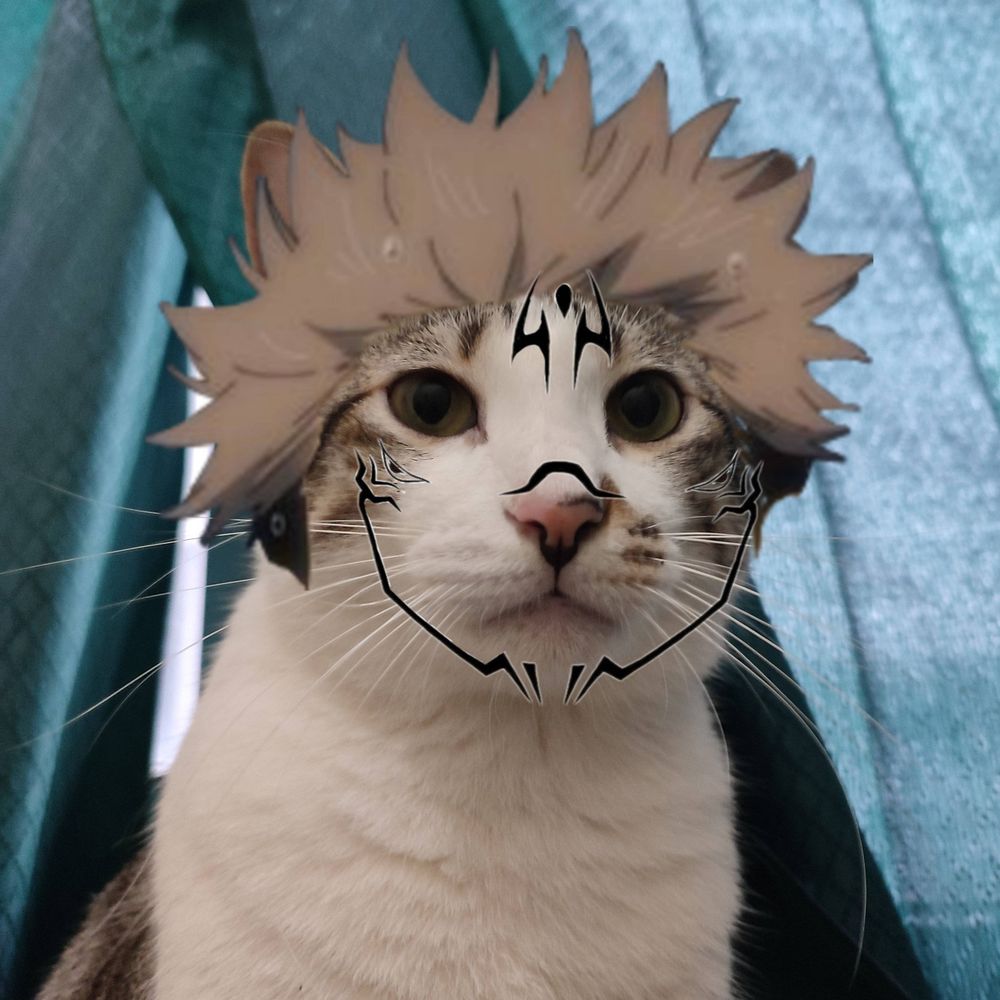 Kiki 