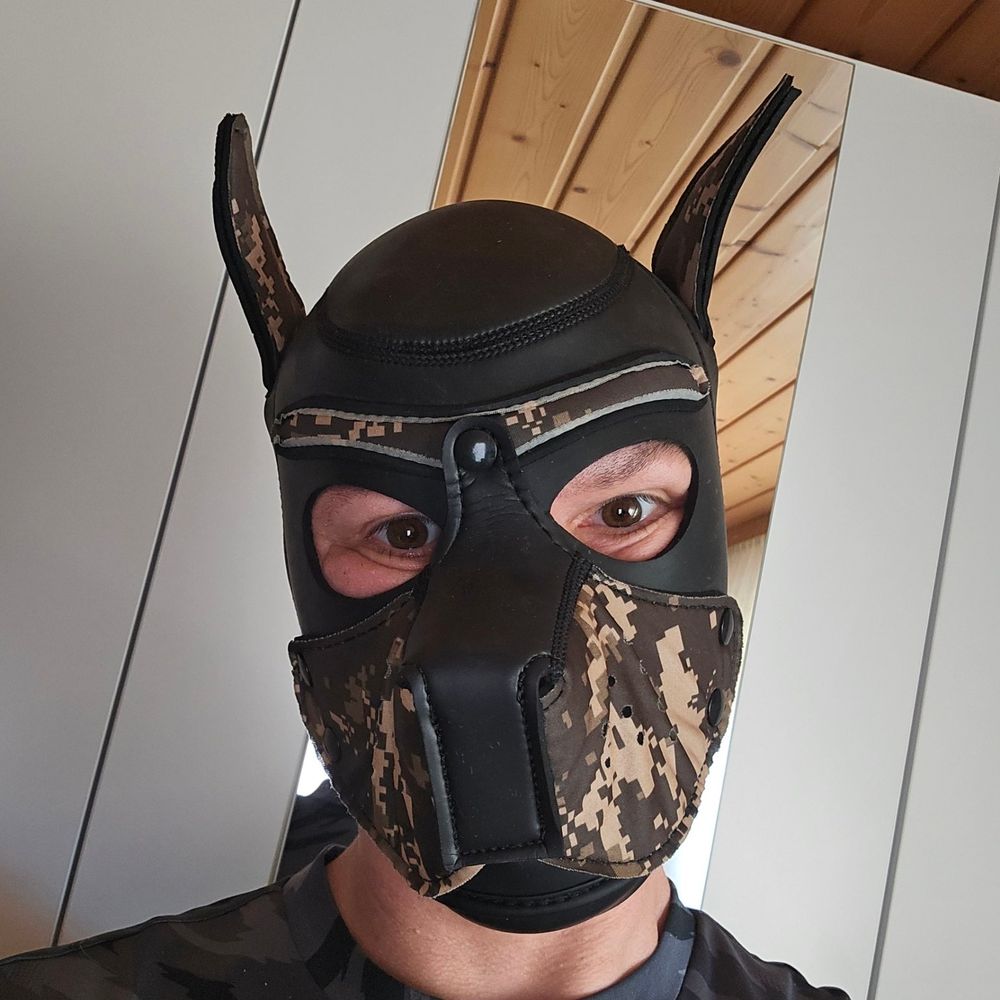 Schwede