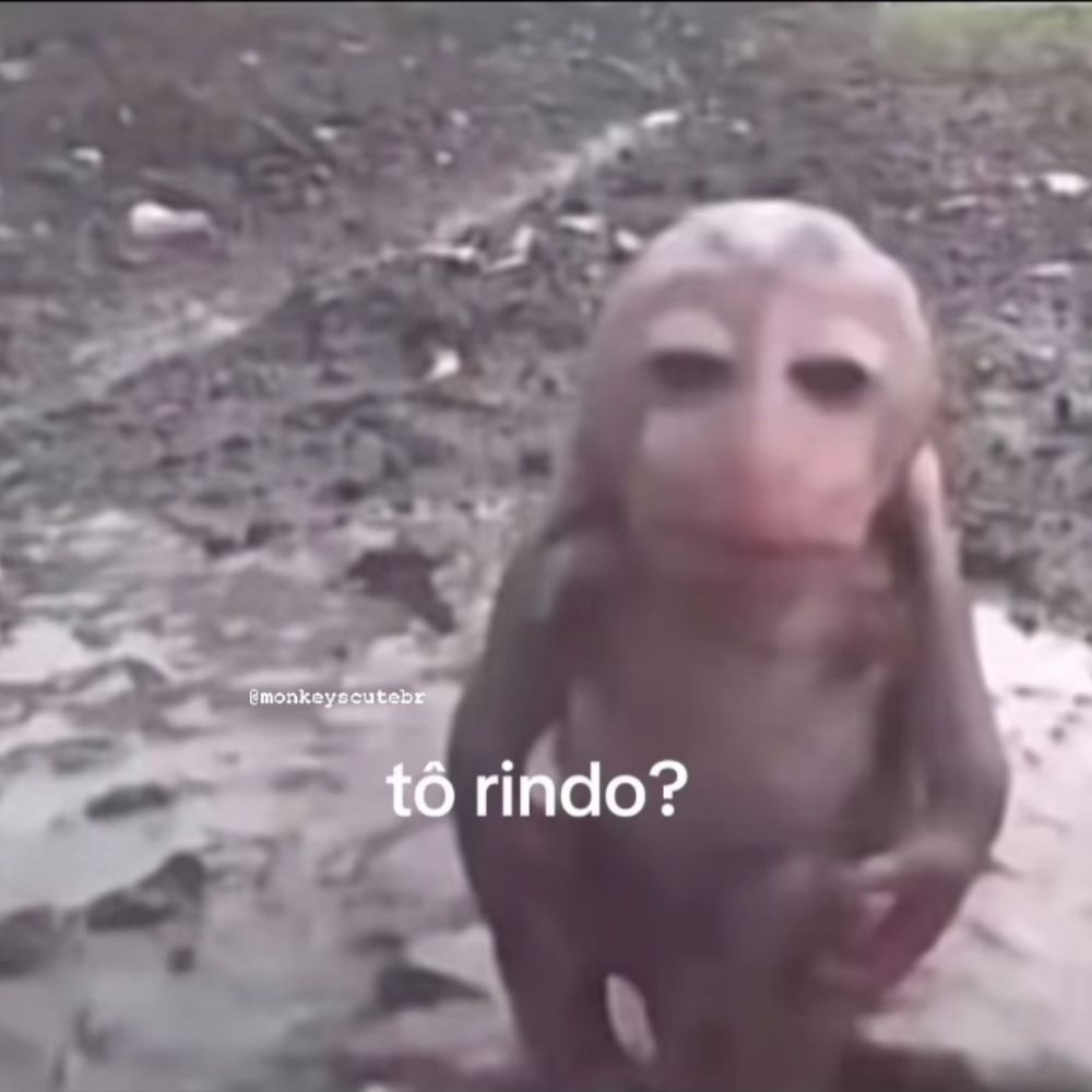 Seraacavalo