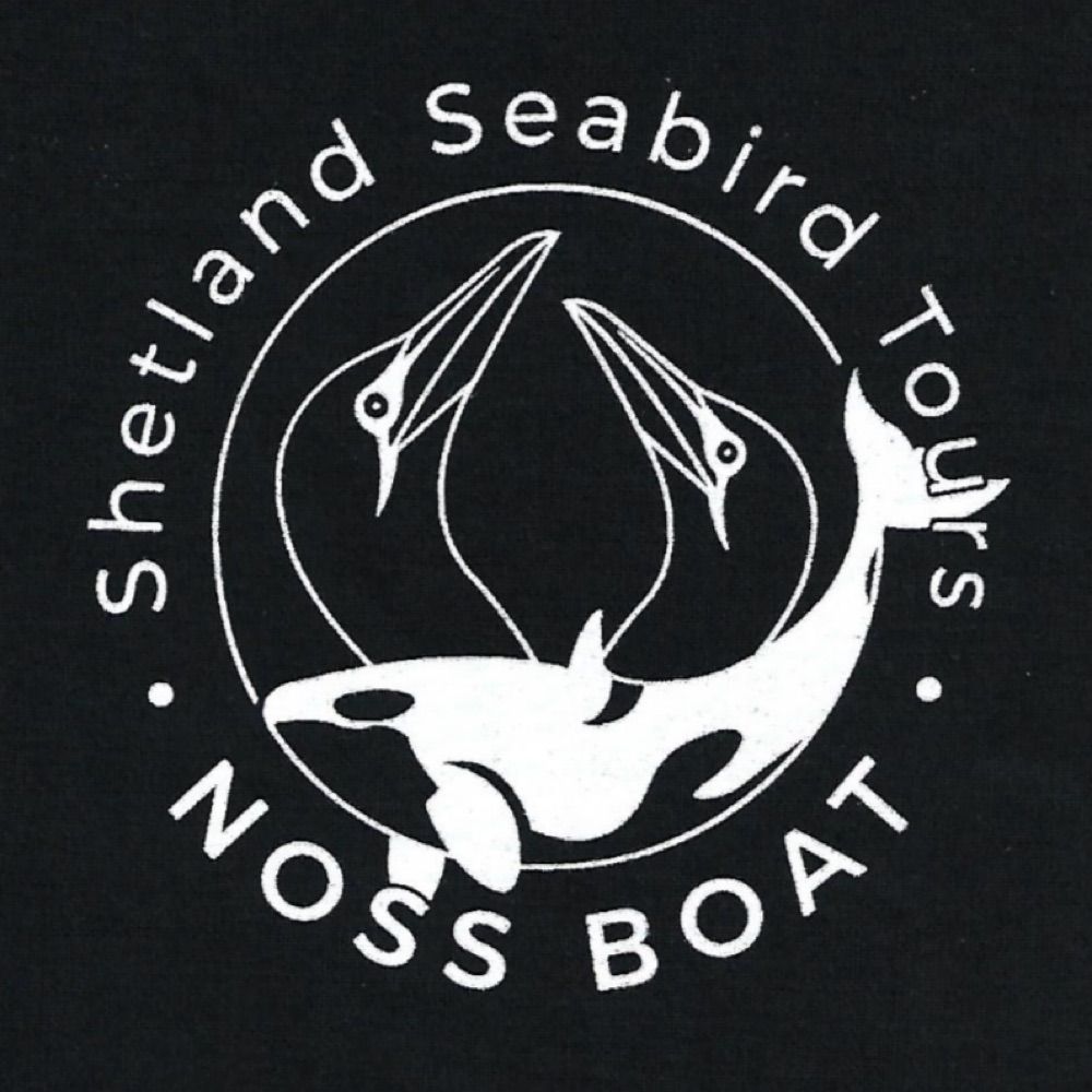 Shetland Seabird Tours