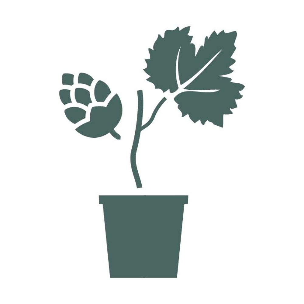 Manchester Hop Project 