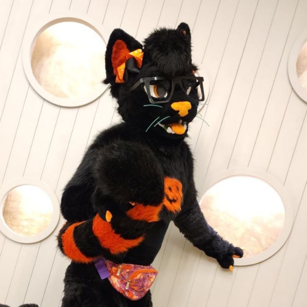 Aster Larkspur 🔜MFF