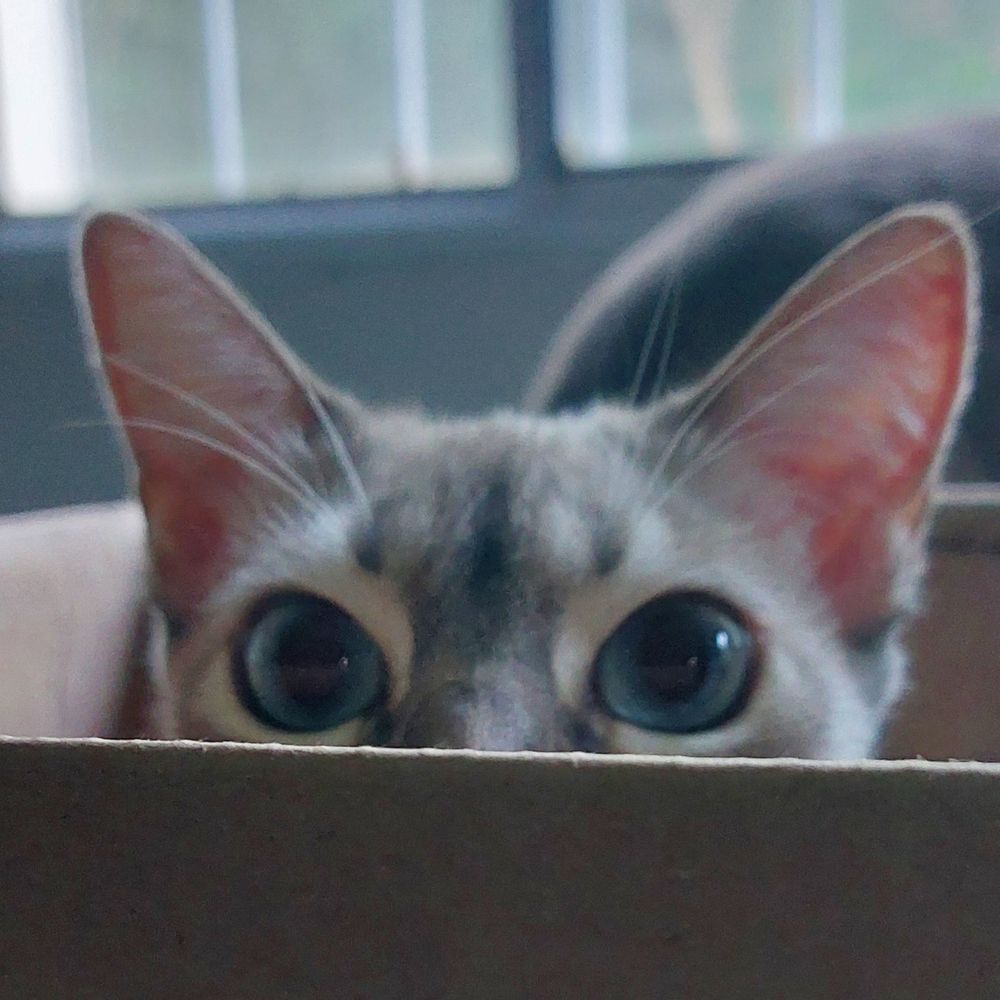 agatha