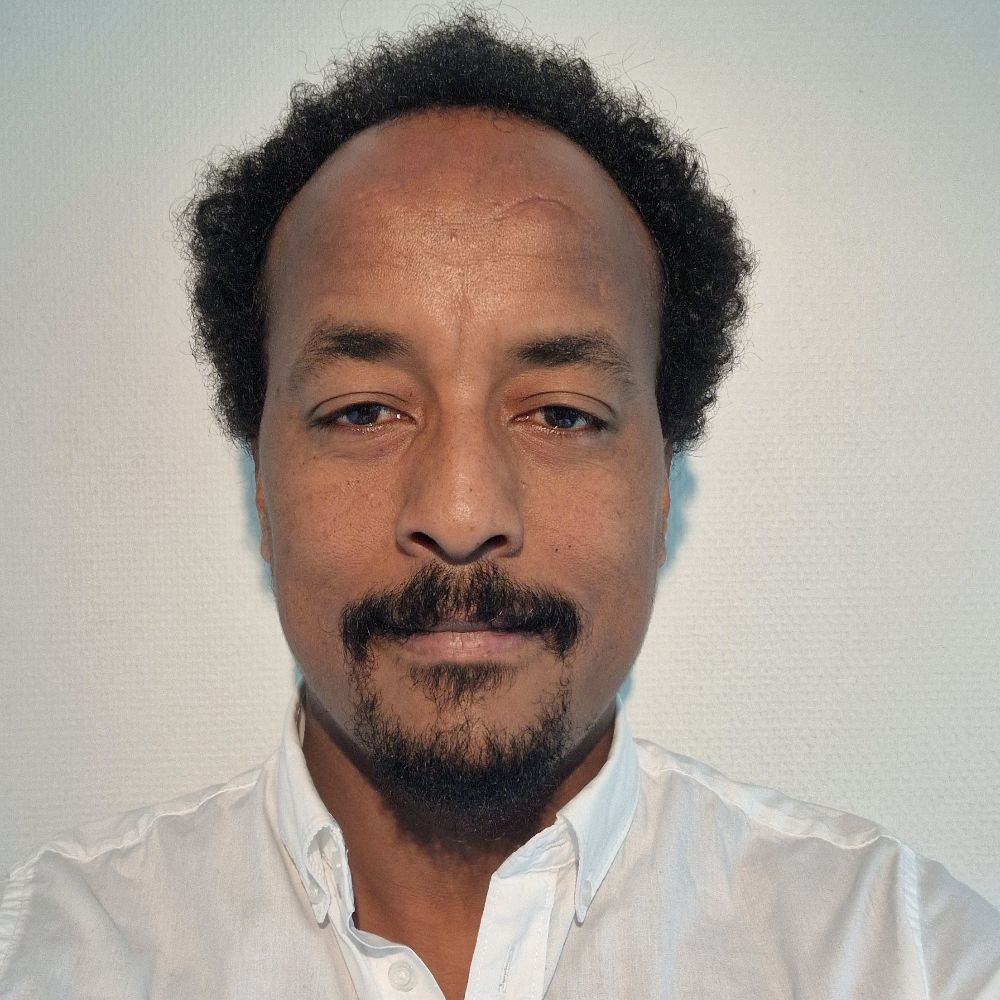 Teklehaymanot G. Weldemichel