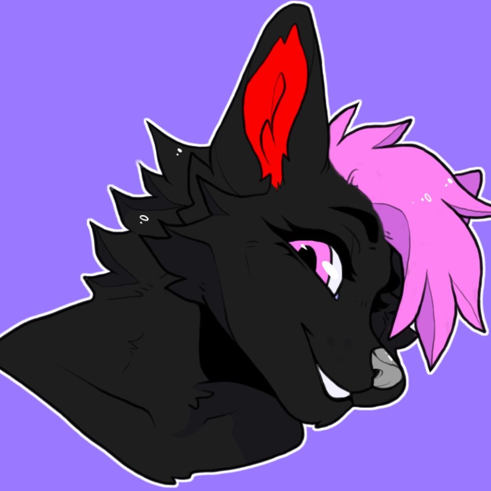 🏳️‍⚧️ Loona Wolf/Radio Racoon
