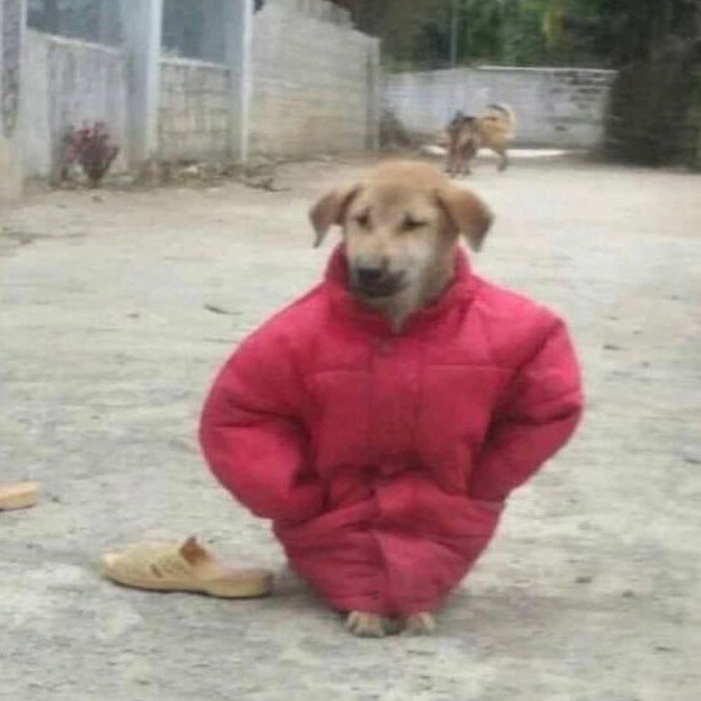 nolongerhuman