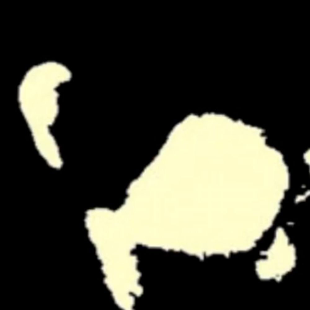 cosa