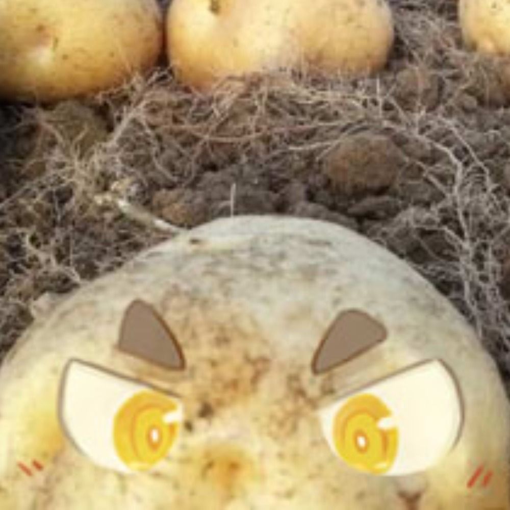 🥔じゃが芋🥔