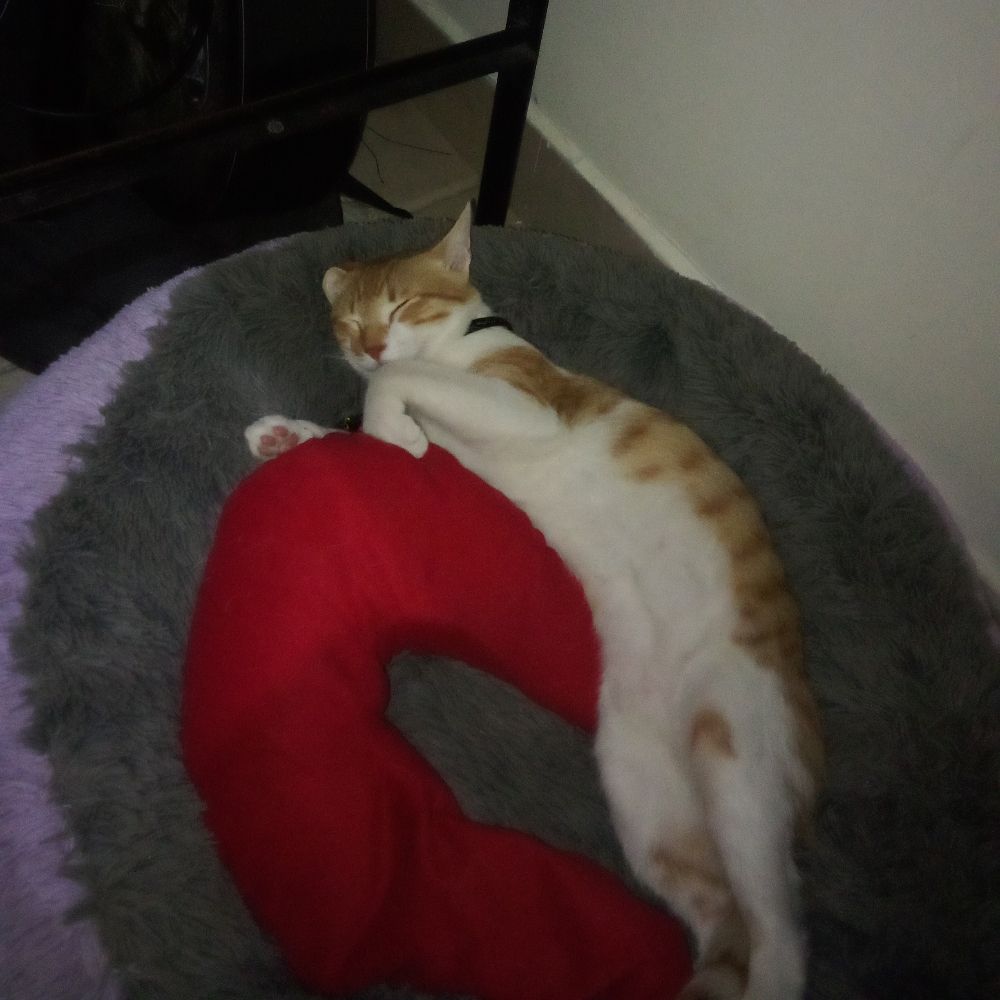O_V