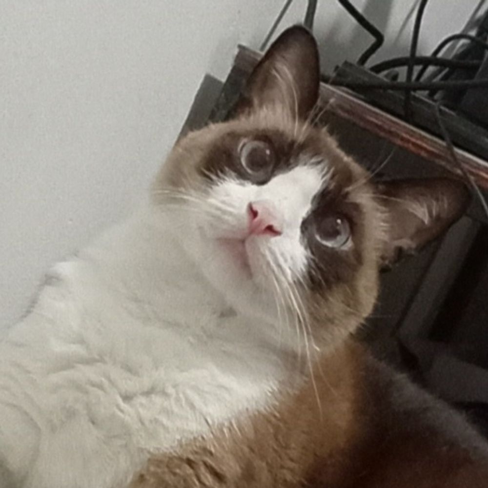 flávio
