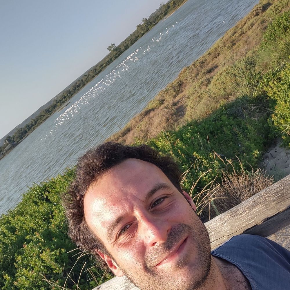 Matteo Fabbri