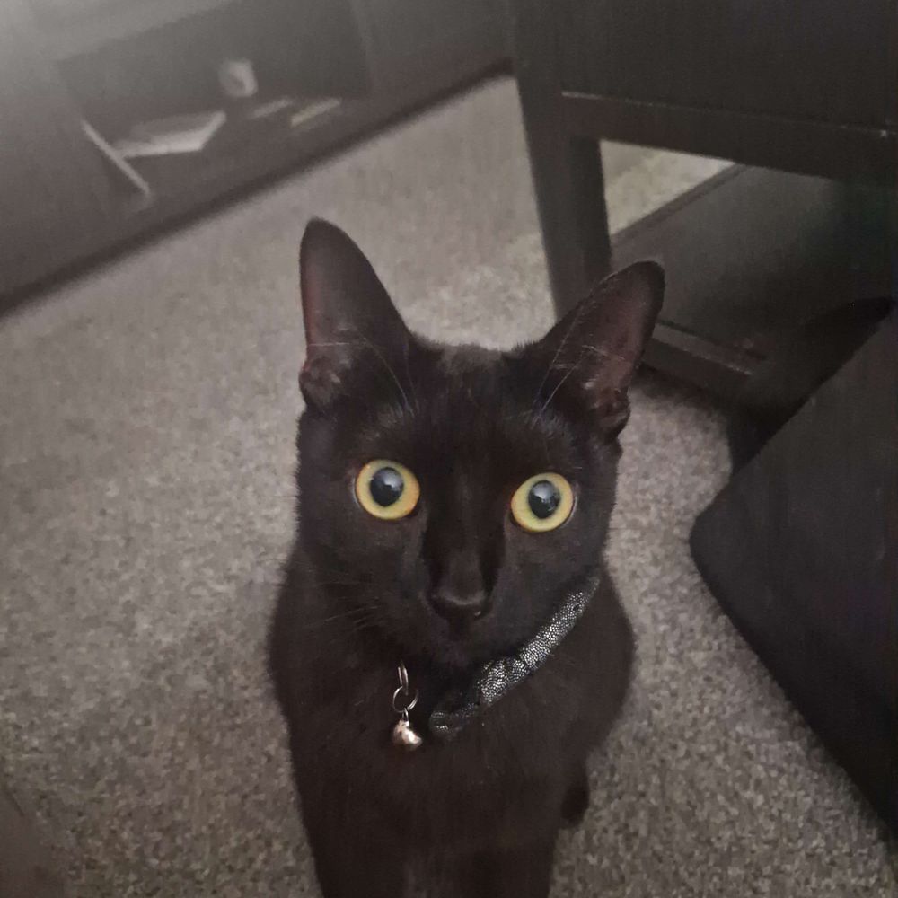 Vex