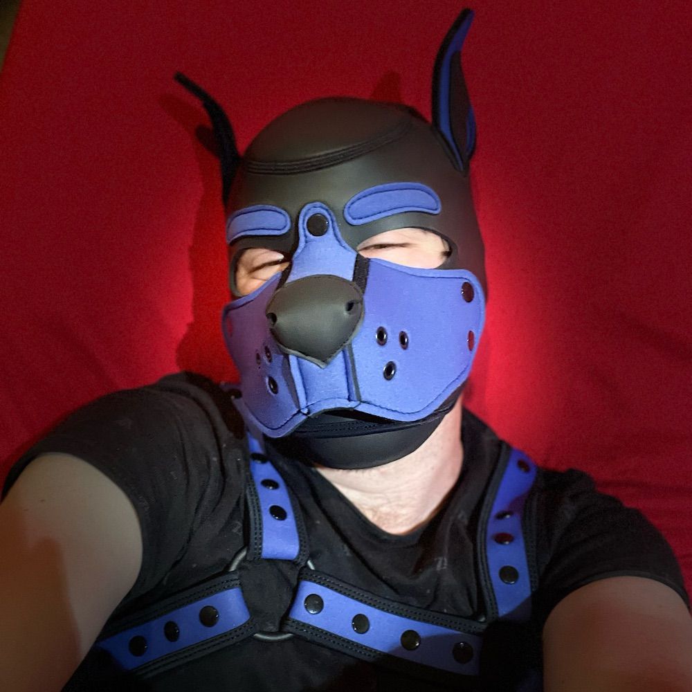 Pup Scrapz