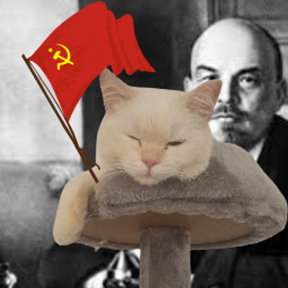 Sockuya