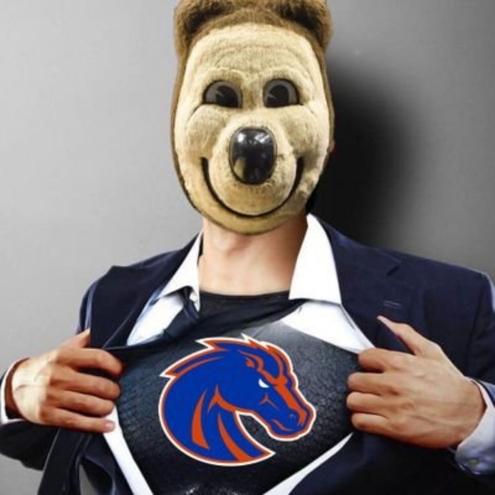 Profile picture boisebluecalbear.bsky.social