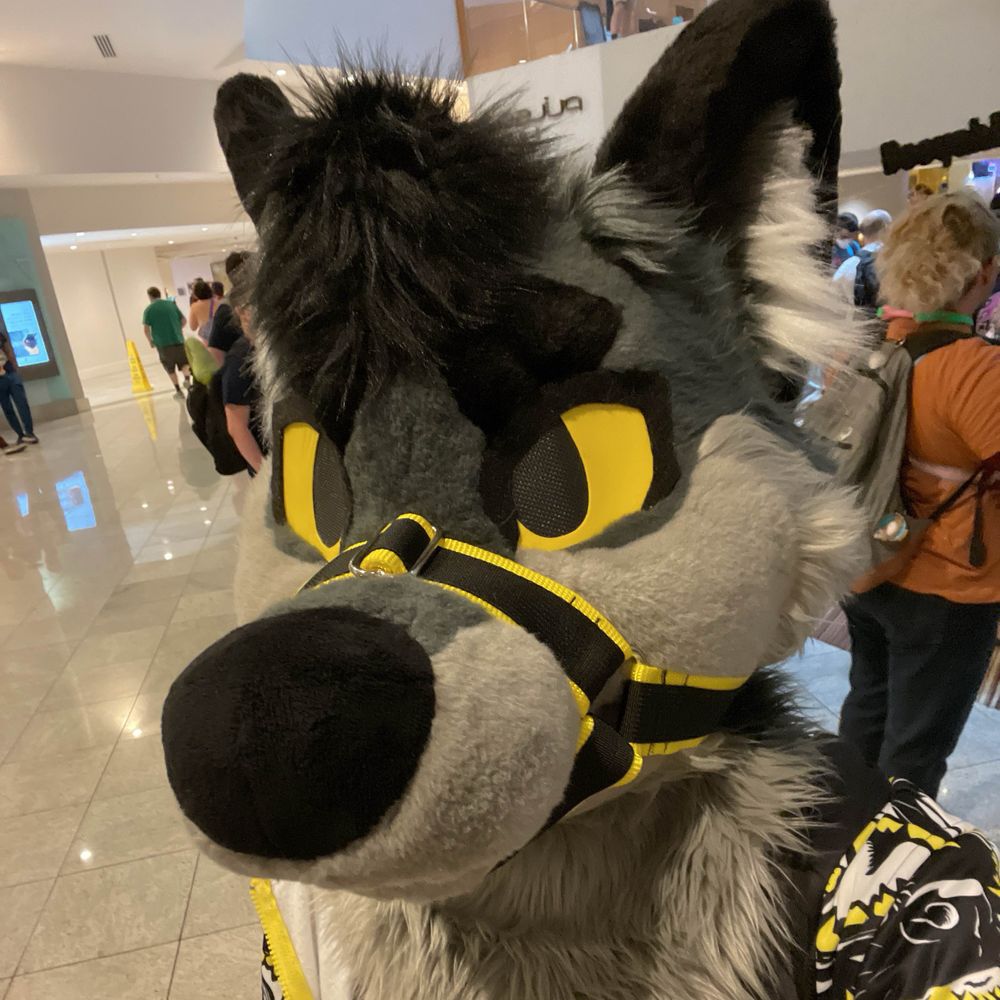 Kaz the Yeen