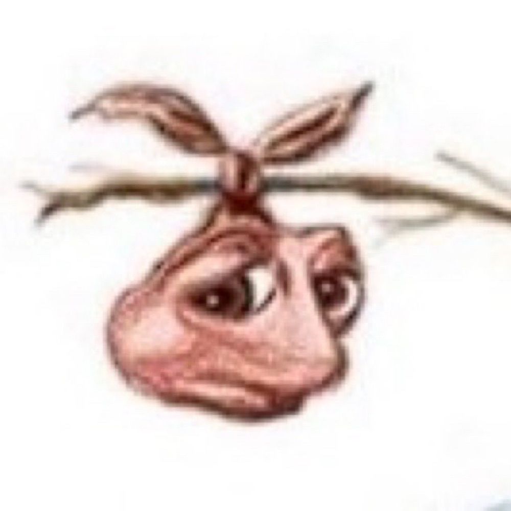 Larissa 