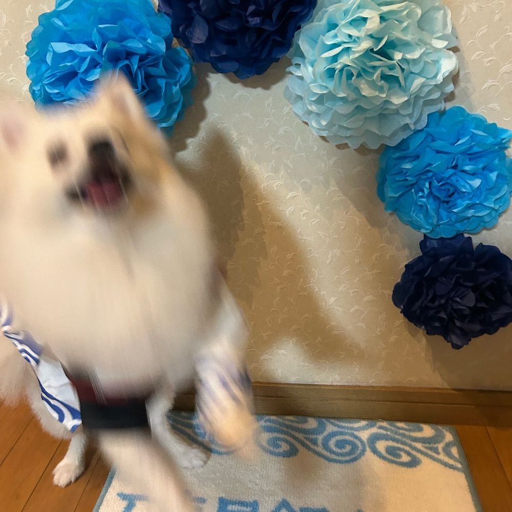 ぎんとき
