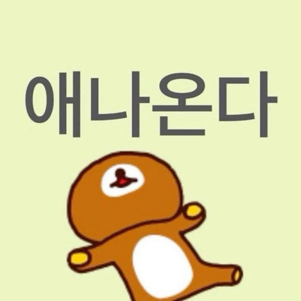 니얼굴학개론