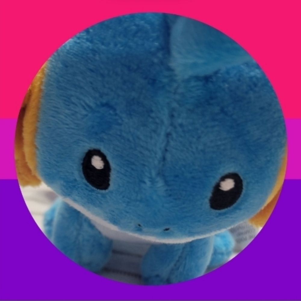 Mudkipboi