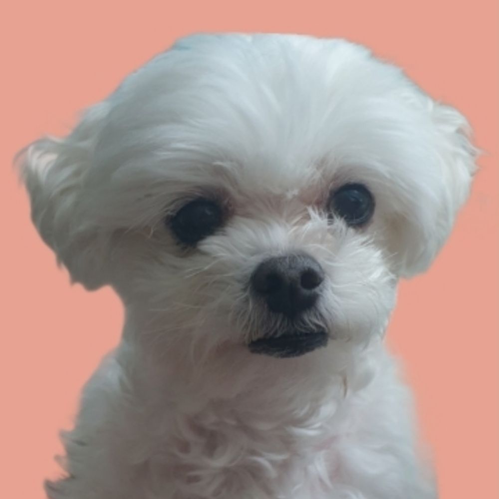 ✨️마법소녀✨️람