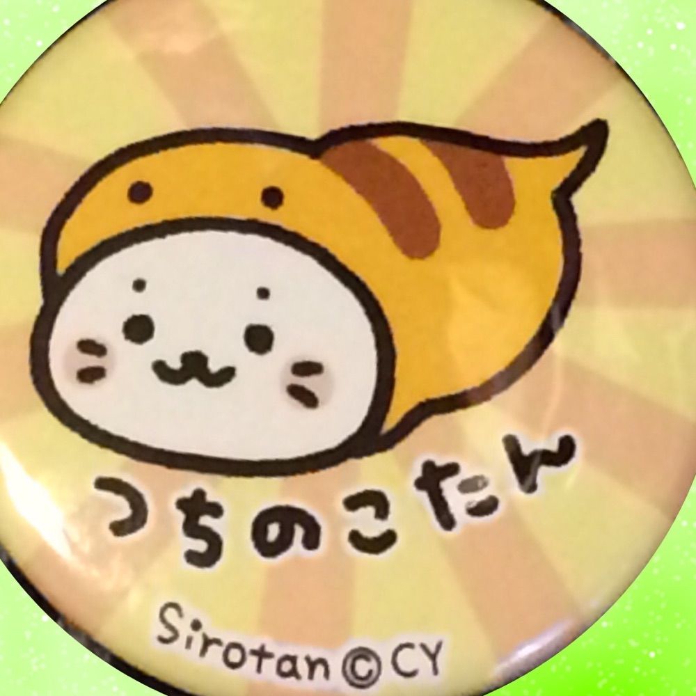 のこたん