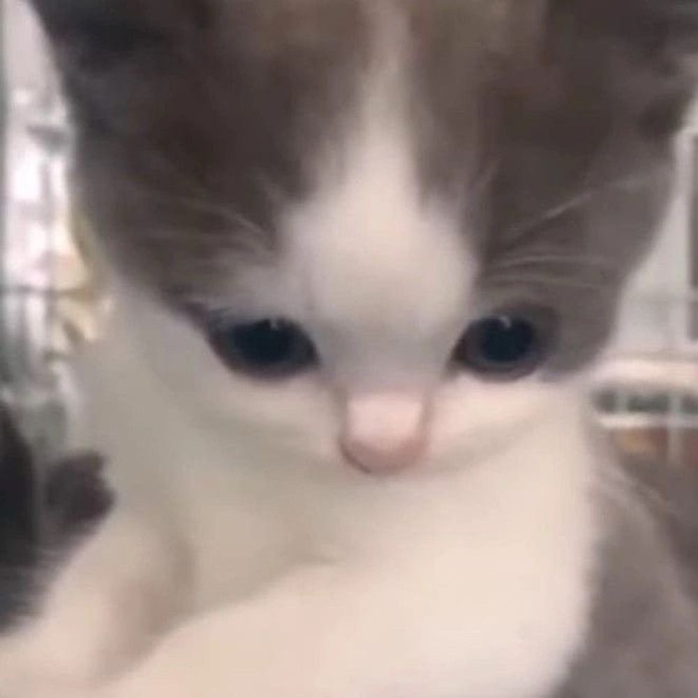 피카
