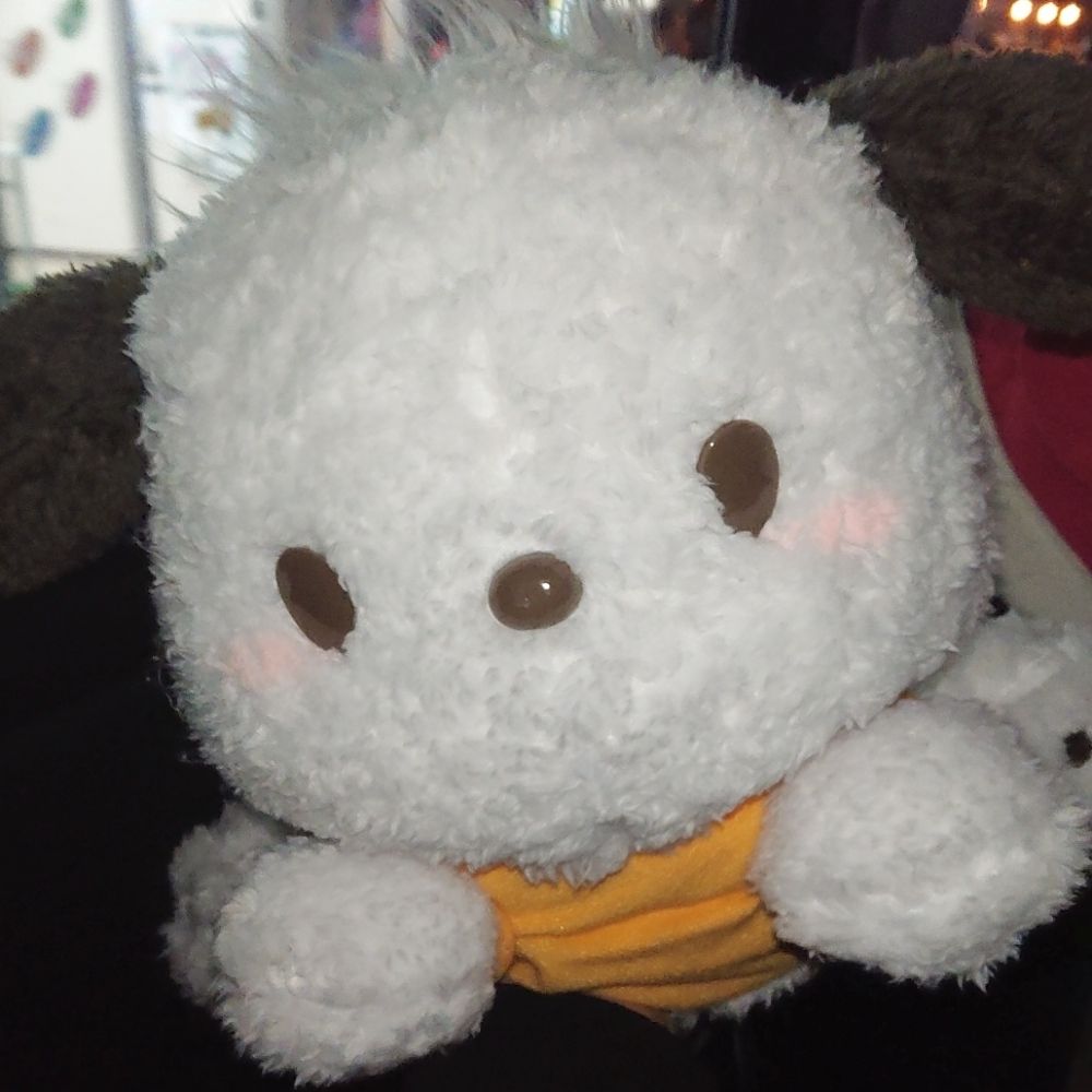 まな🧸🎈