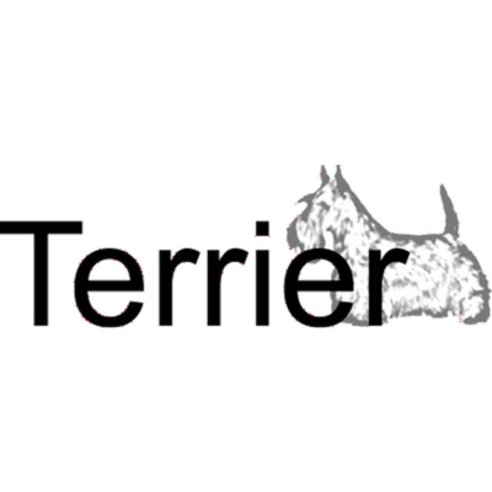 TerrierTeam, Glasgow CS