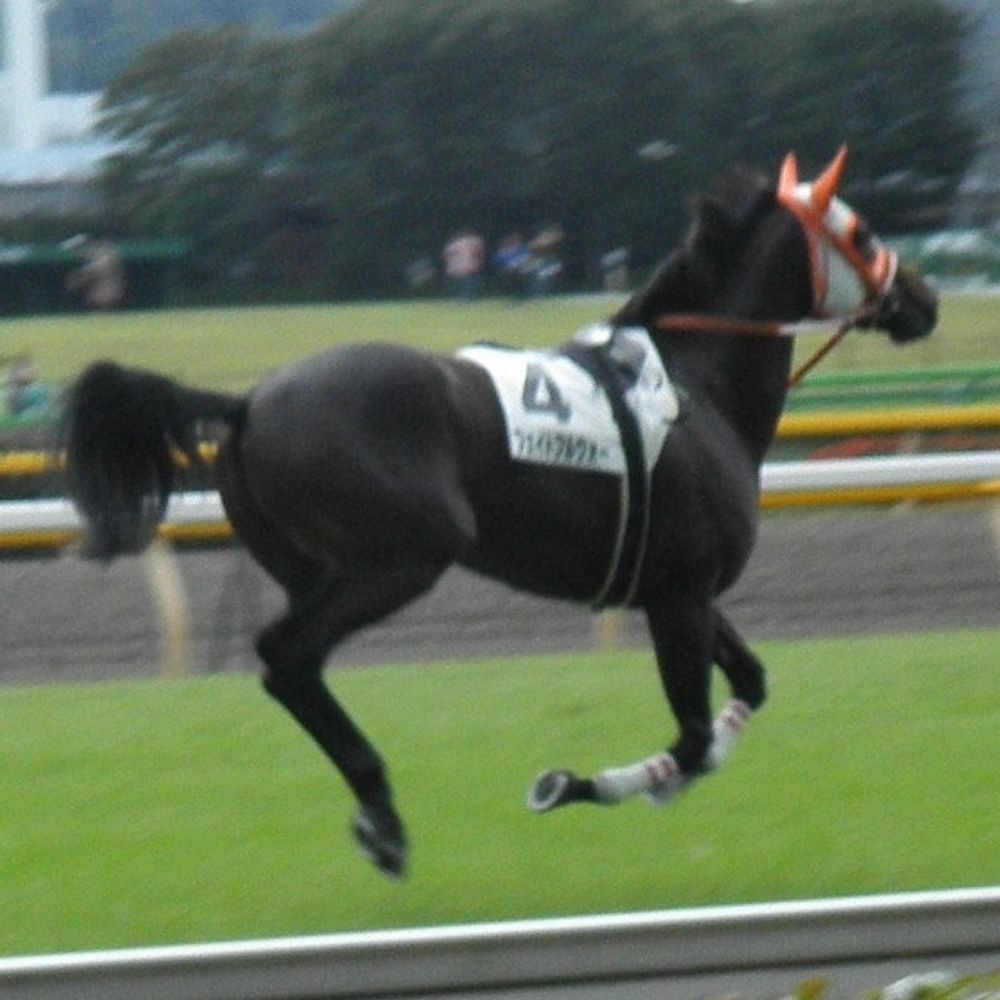 bisah1040.bsky.social