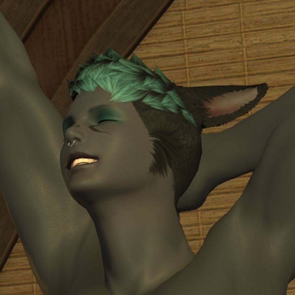 Profile avatar