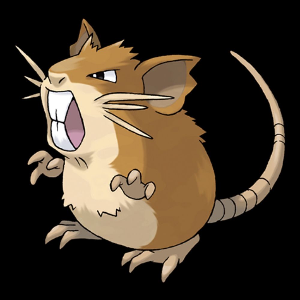 Rata