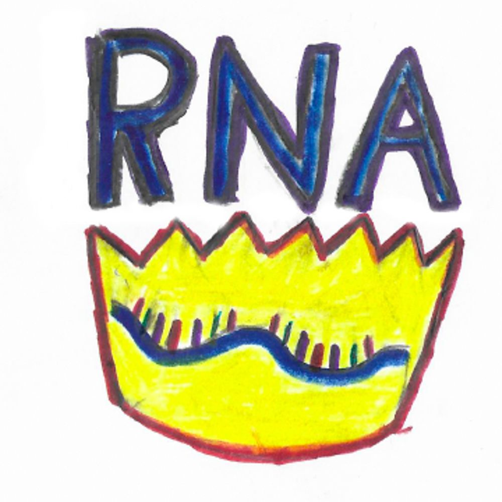 König Lab