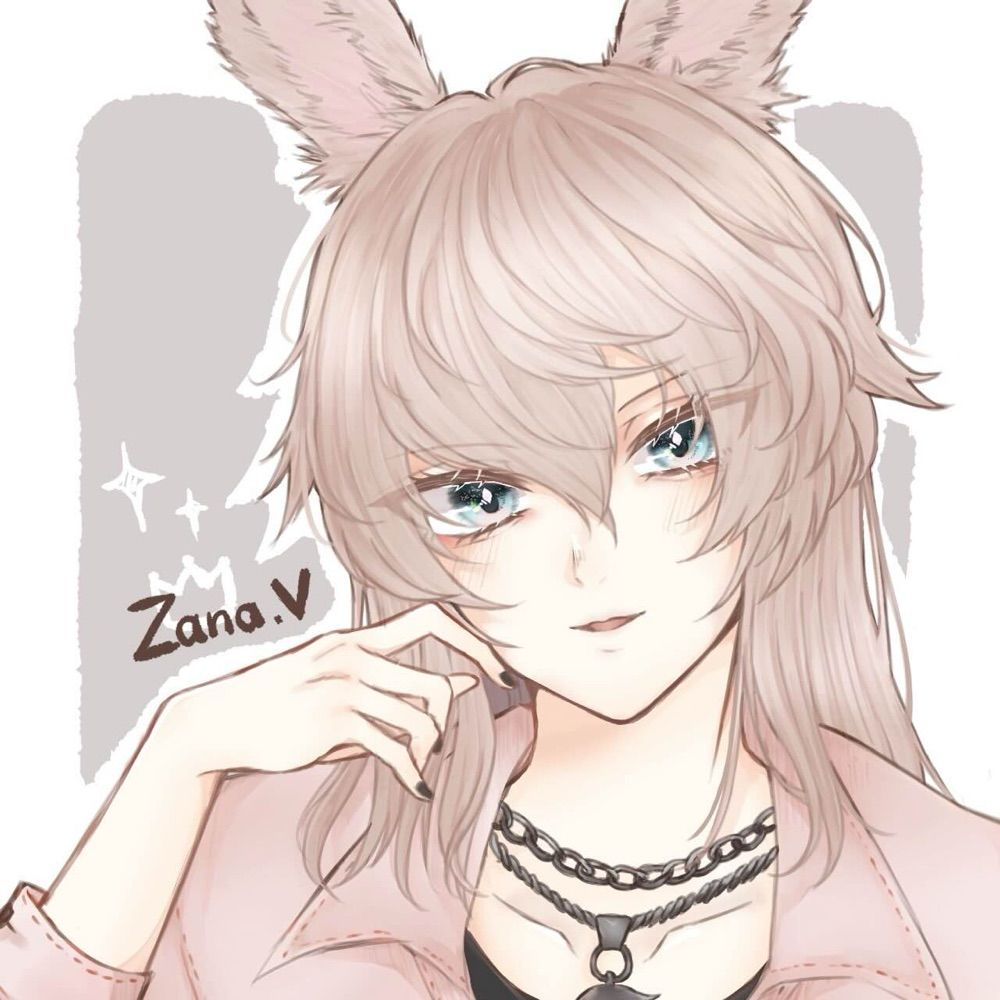 ざなきゅん