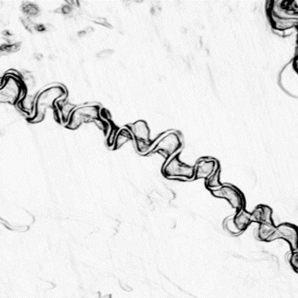 Clastics Lab