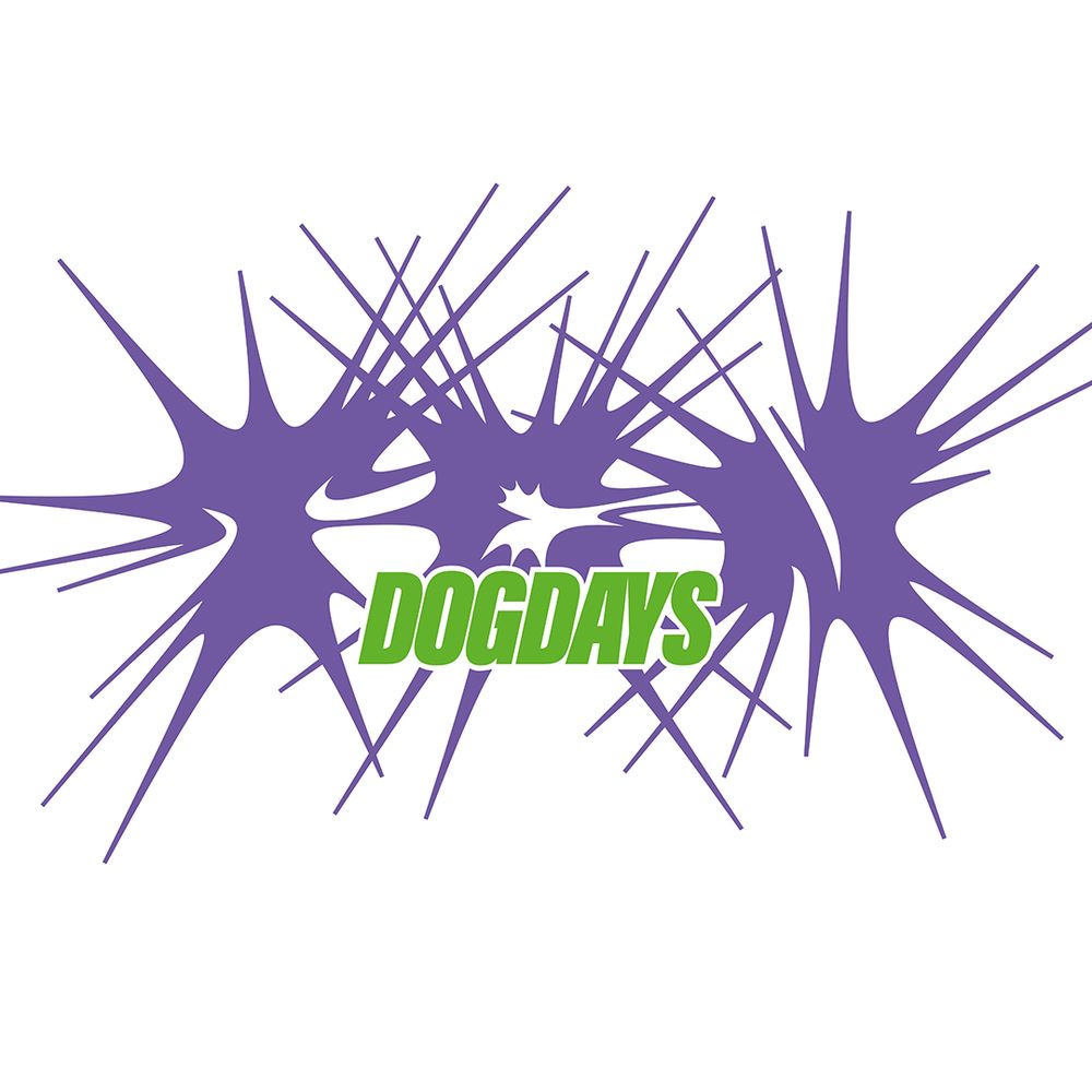 DogDays Magazine