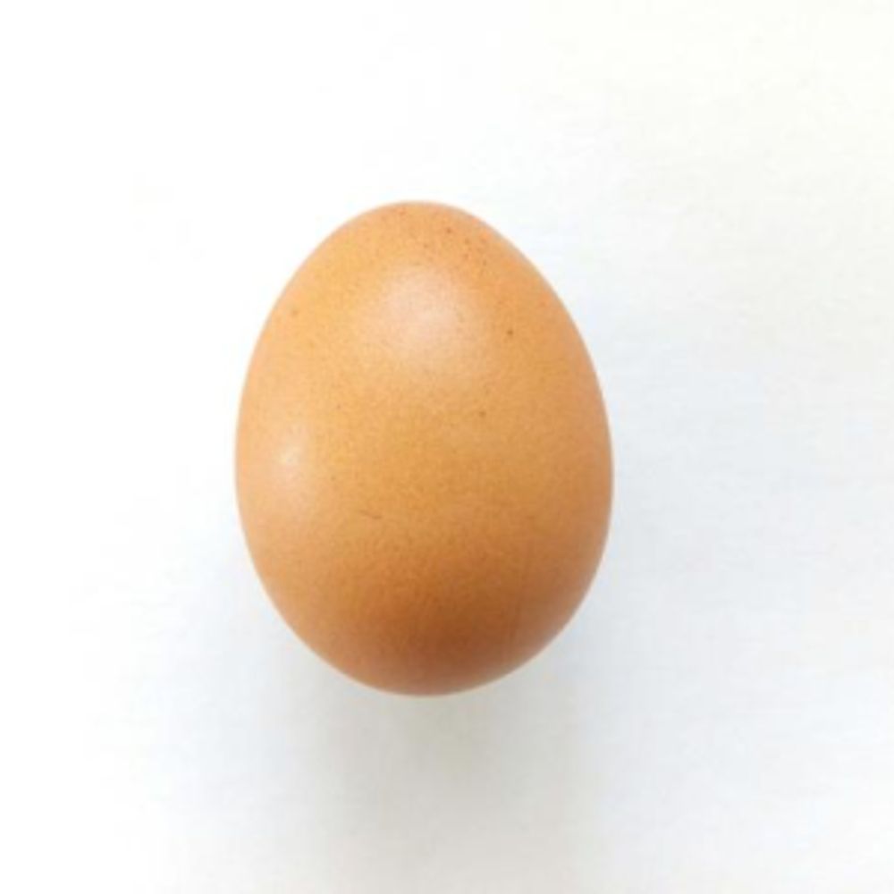 Egg