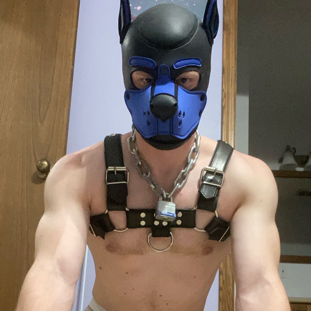 Pup Ghost