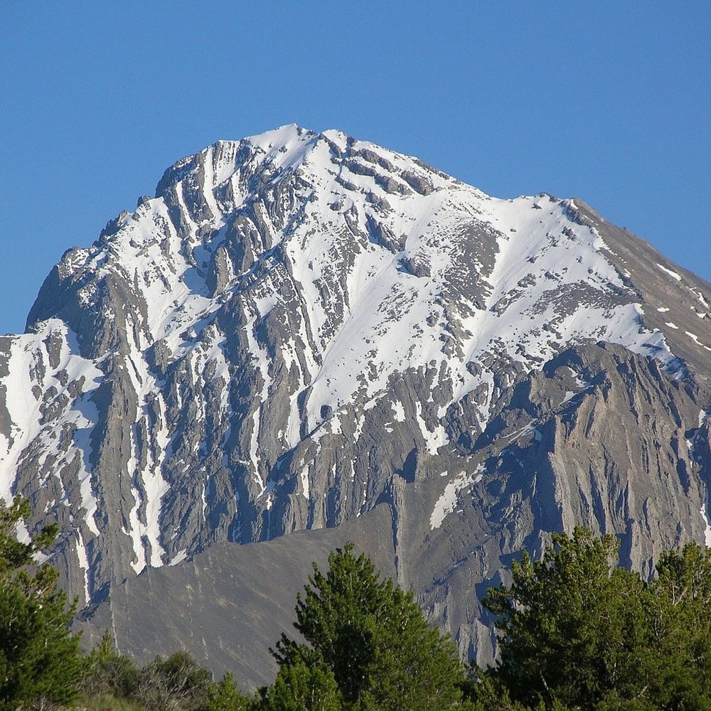 cordilleranmargin.bsky.social profile picture