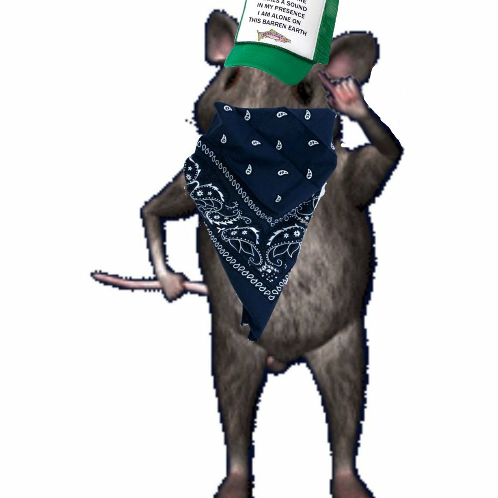 Rat Redemption (Targeted Individual)